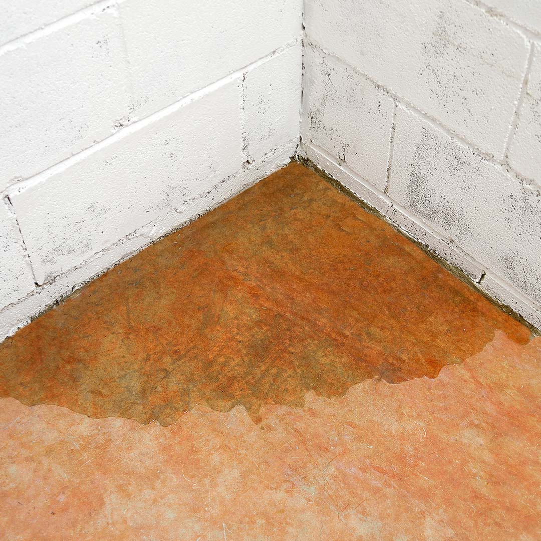 foundation leaking through corner