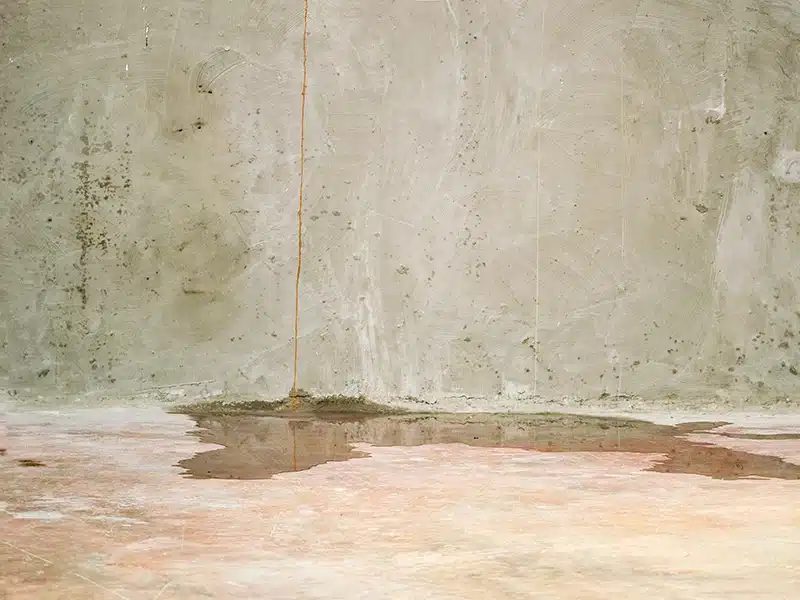water in basement