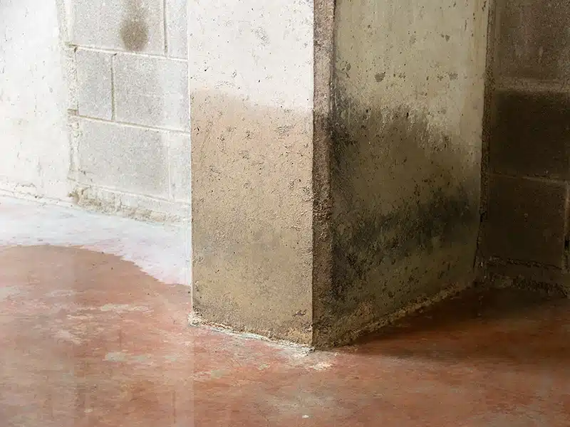 moisture on concrete wall