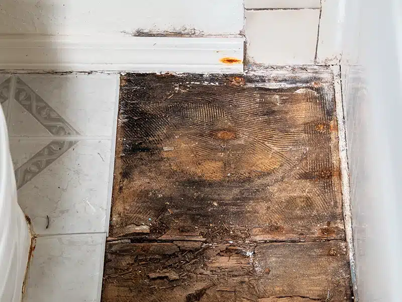 sub floor damage