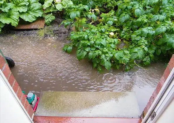 standing water outside door